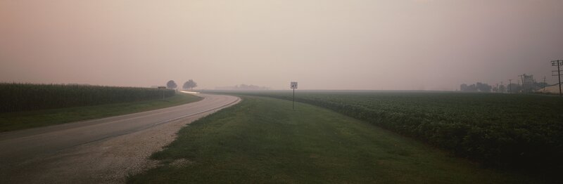 Country road in foggy morning