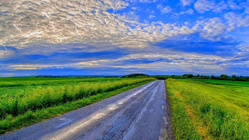 Country Road in Green Fields