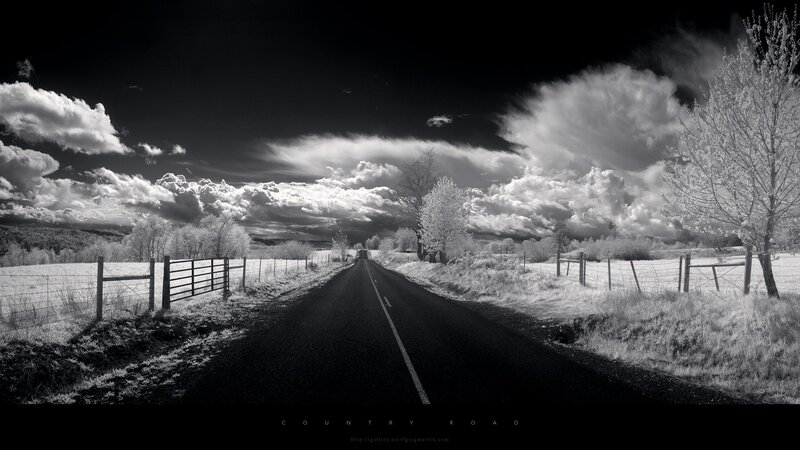 Country Road in Infrared — Black