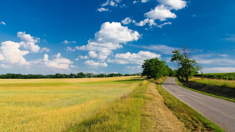 Country Road Through Fields — Blue