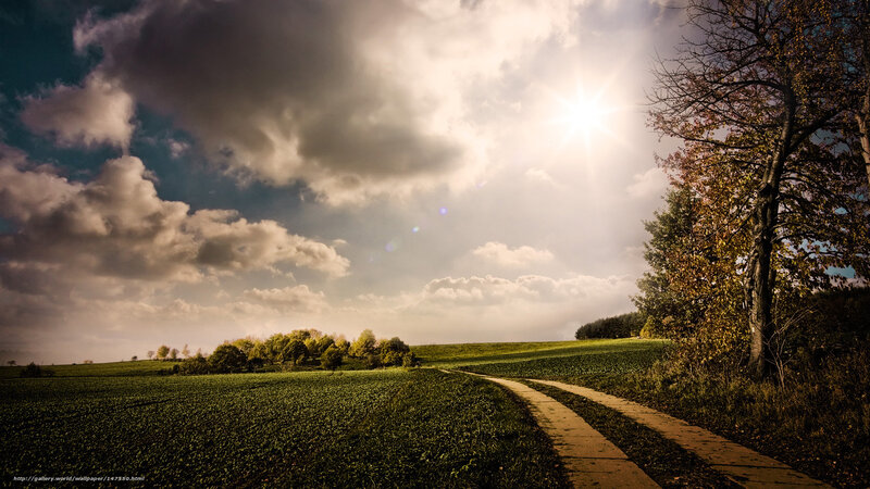 Country Road Through Fields — Green, Dramatic