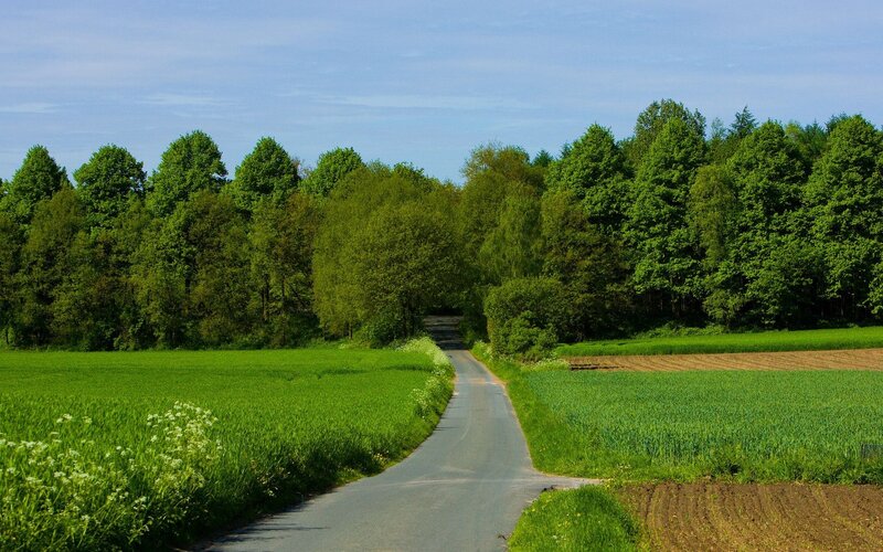 Country Road Through Fields — Green, Serene, Afternoon, Photograph, Trees, Sky, Blue, Brown
