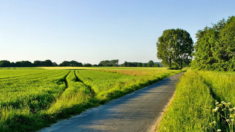 Country Road Through Fields — Green, Serene