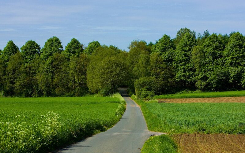 Country Road Through Fields — Green