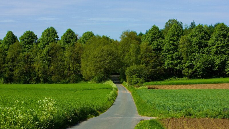 Country Road Through Fields — Serene