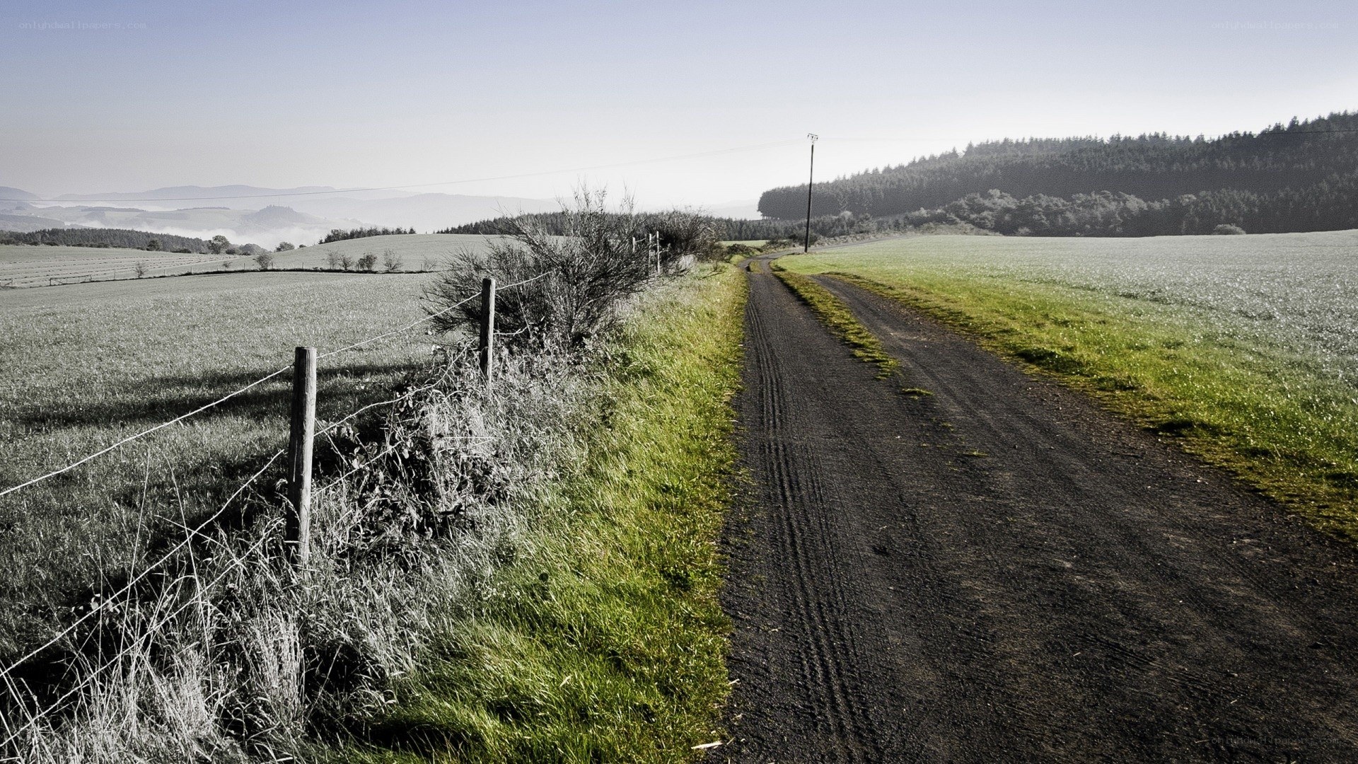 Country road through green fields