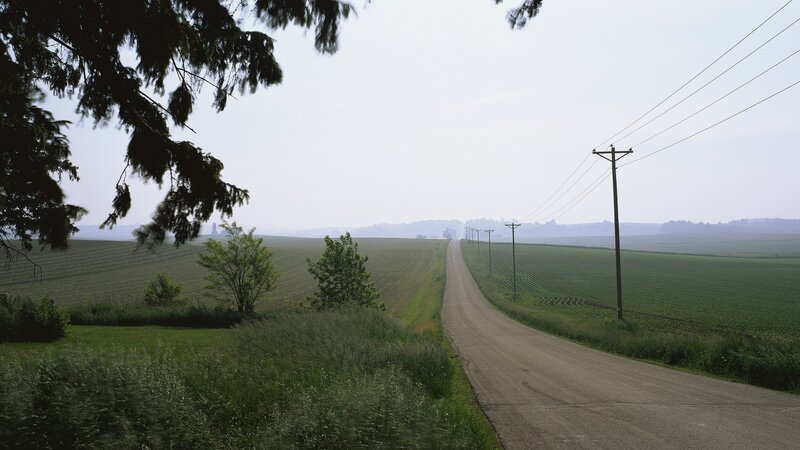 Country road through green fields