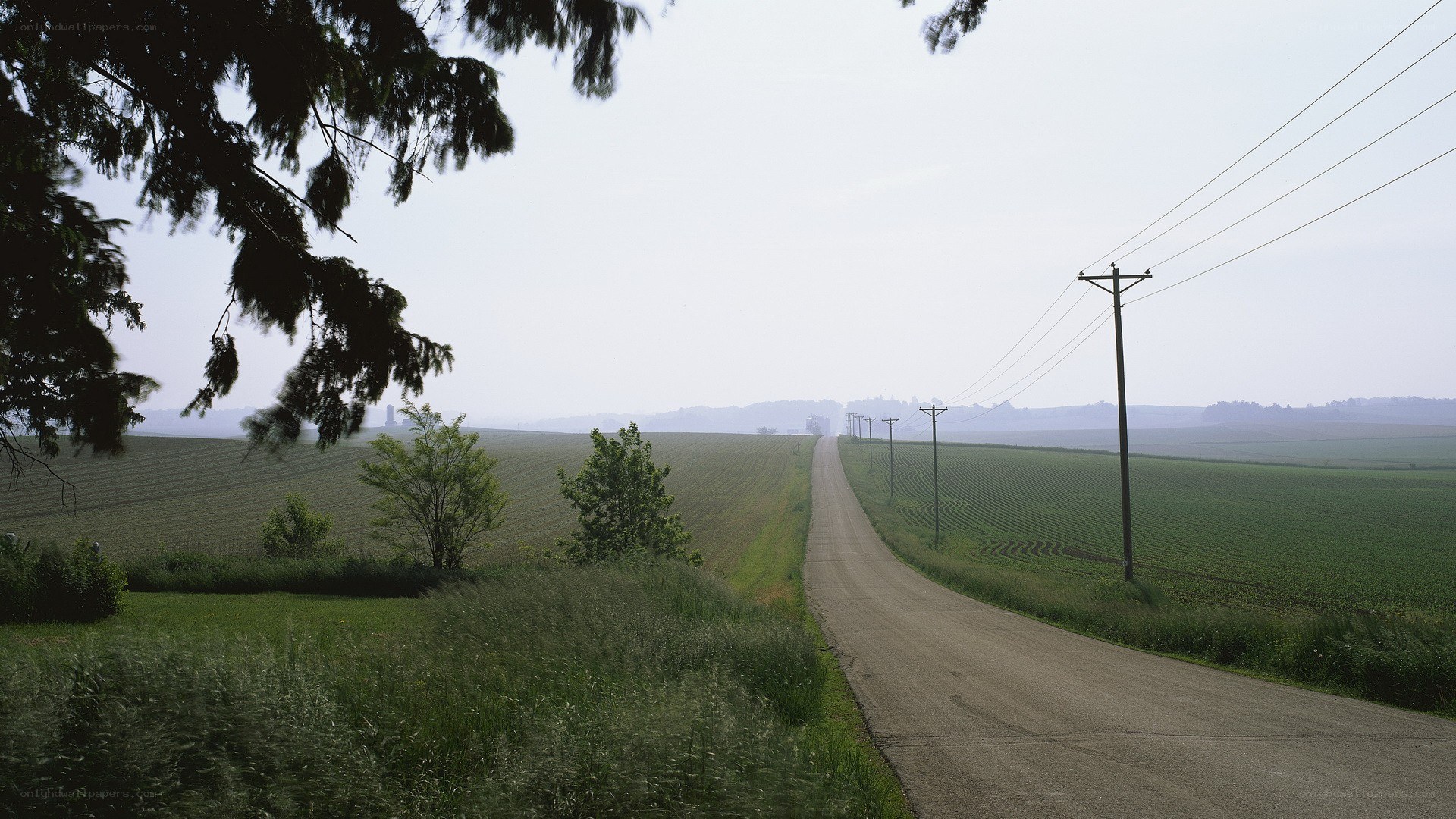 Country road through green fields