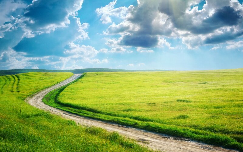 Country road through green fields