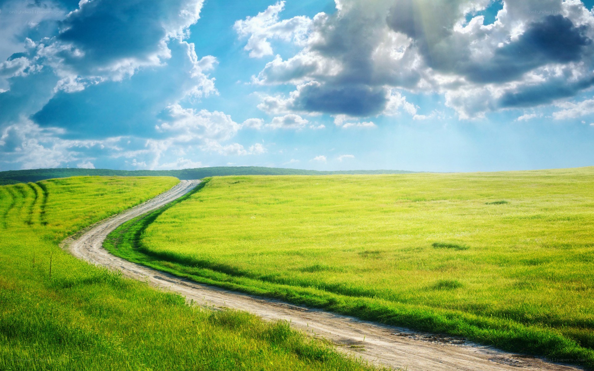 Country road through green fields
