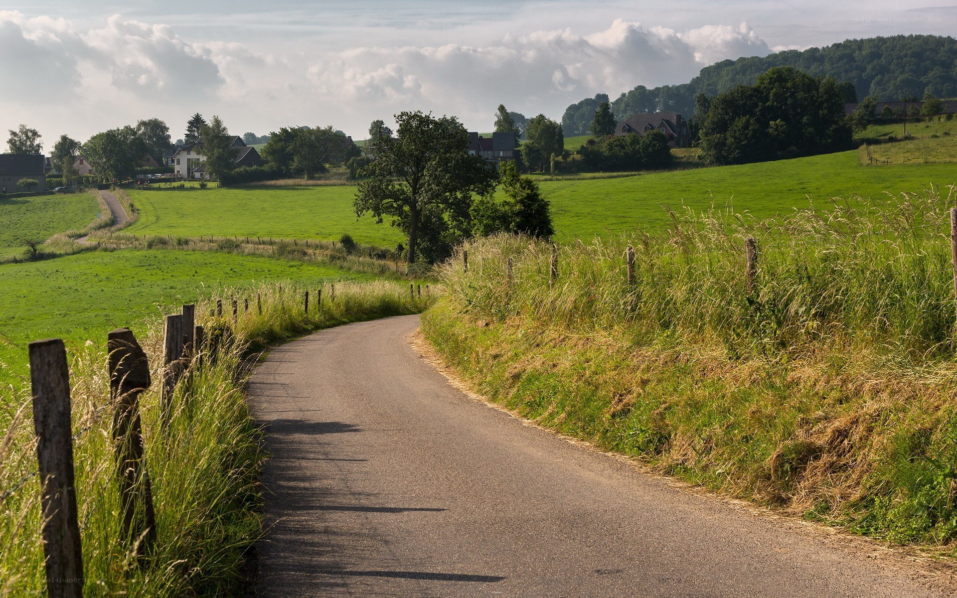 Country road through green fields