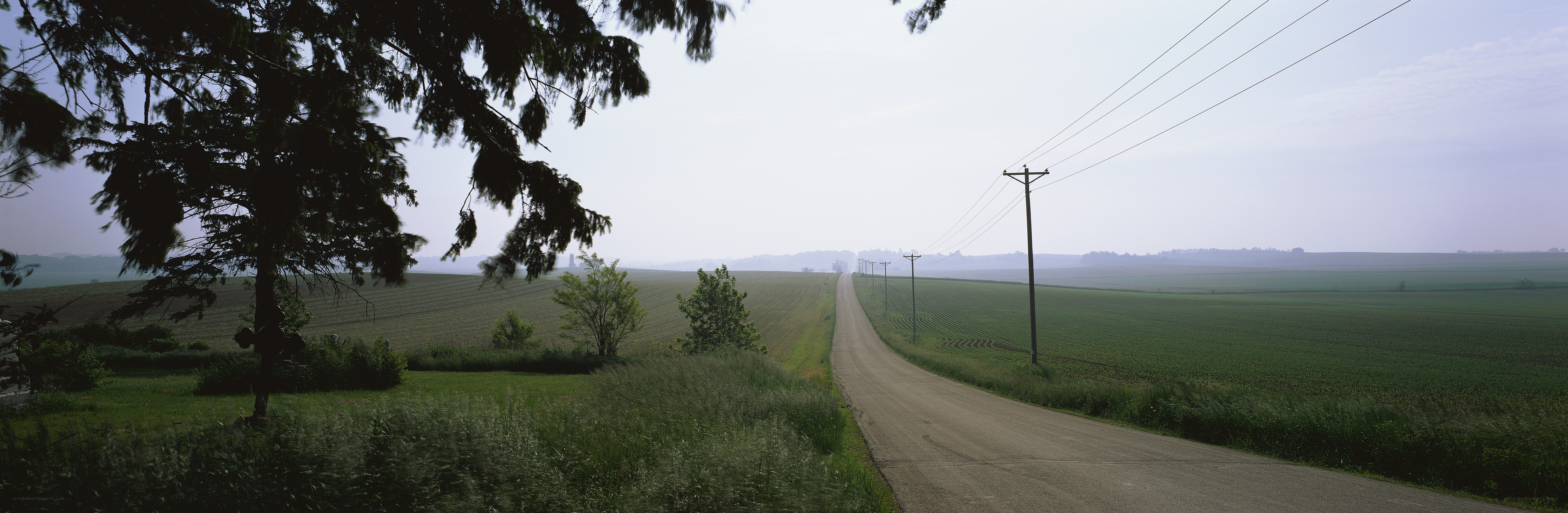Country road through green fields