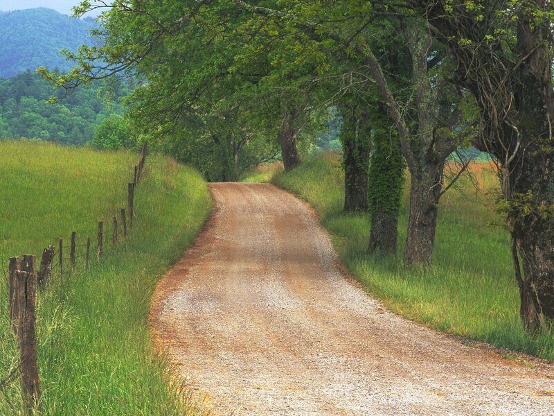Country road through green fields