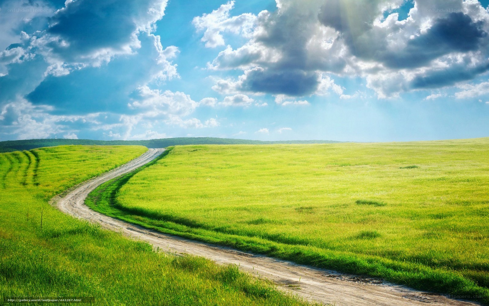 Country road through green fields