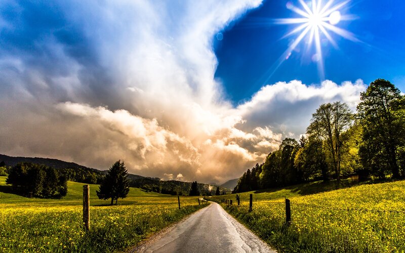 Country Road Through Meadow