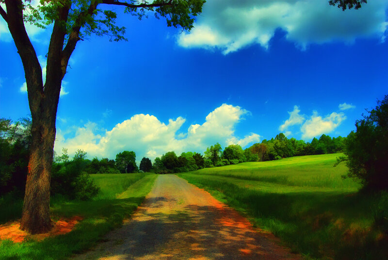 Country road under blue sky
