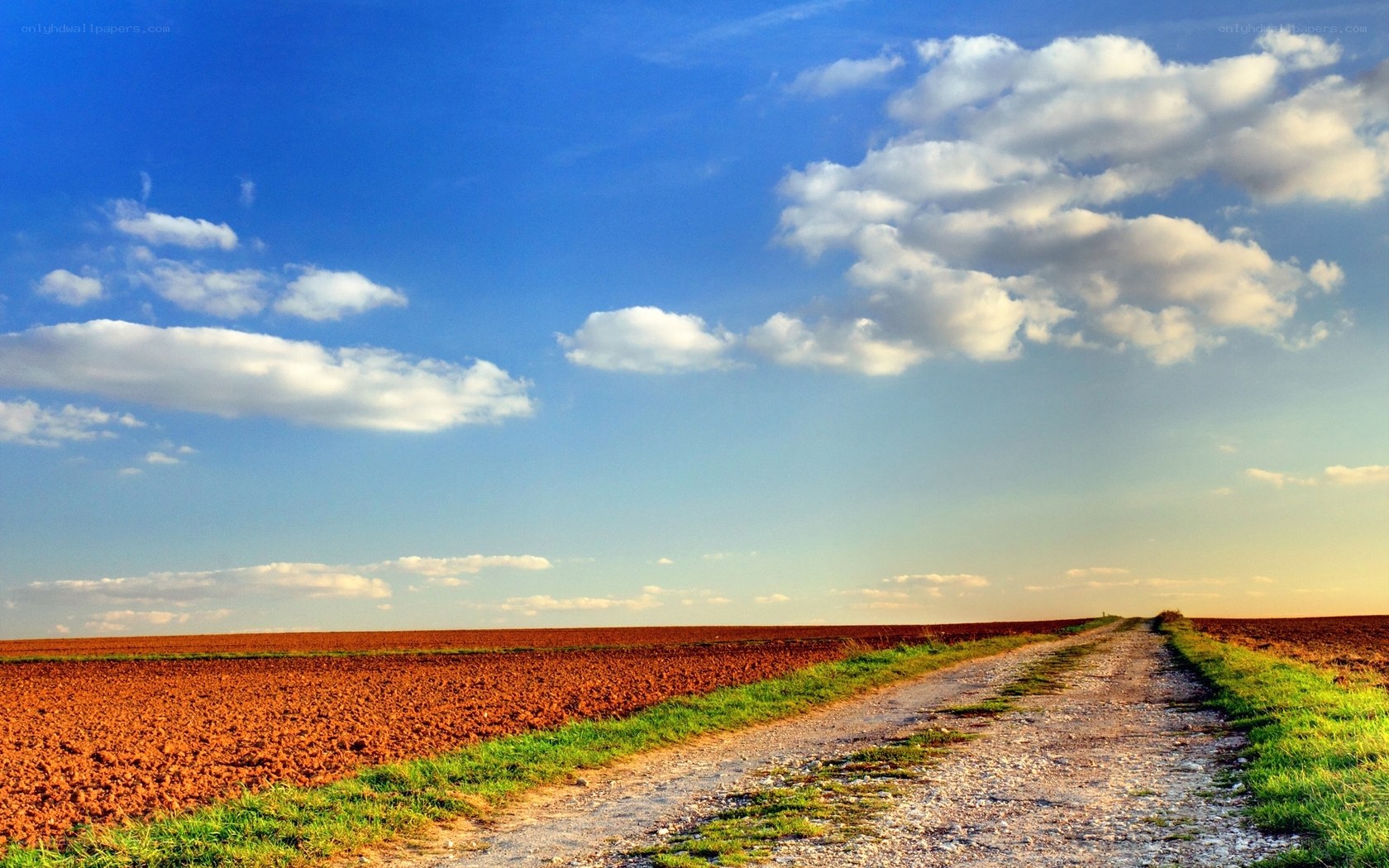 Country road under blue sky