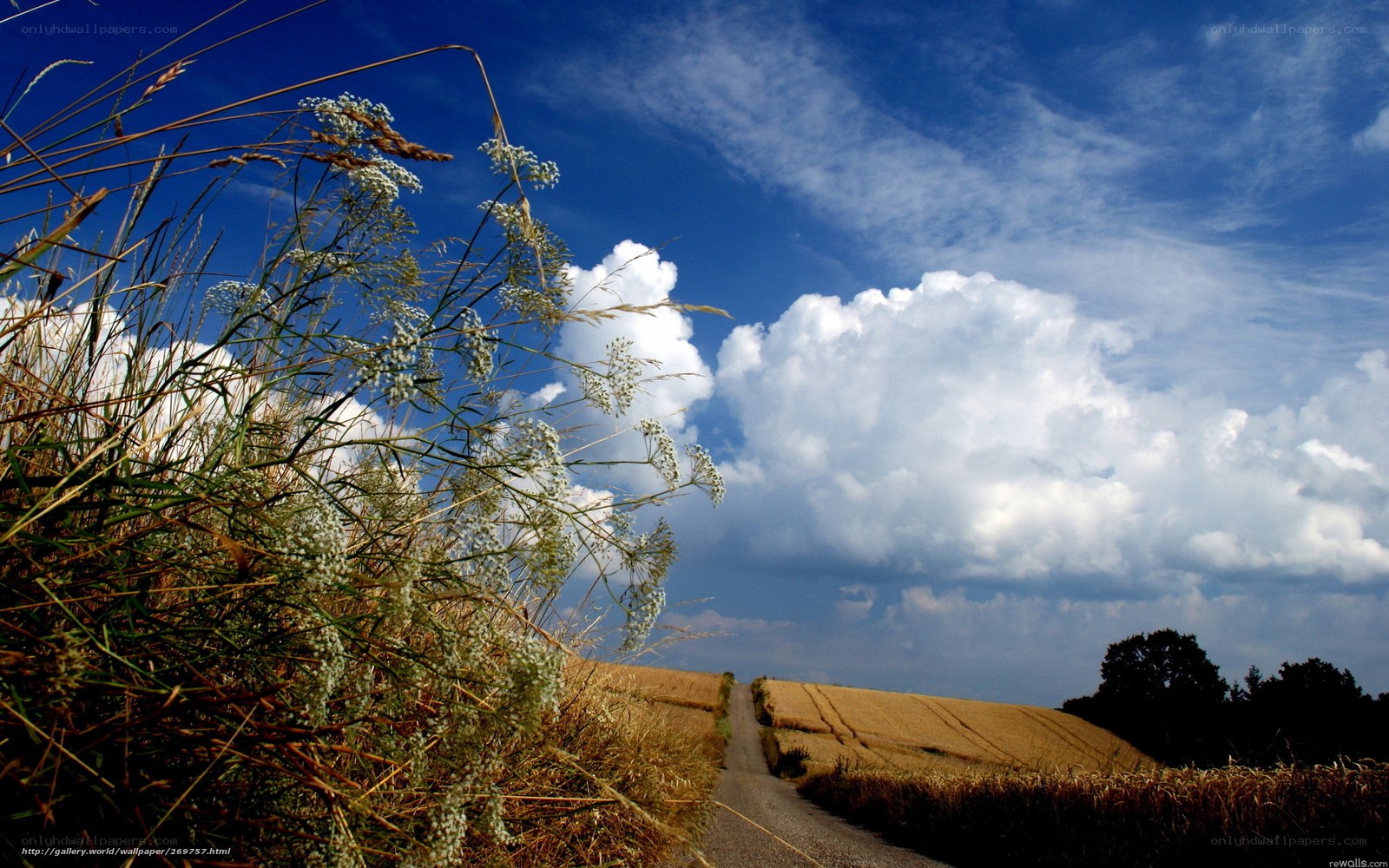 Country road under blue sky