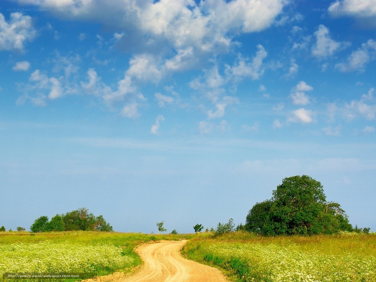 Country road under blue sky