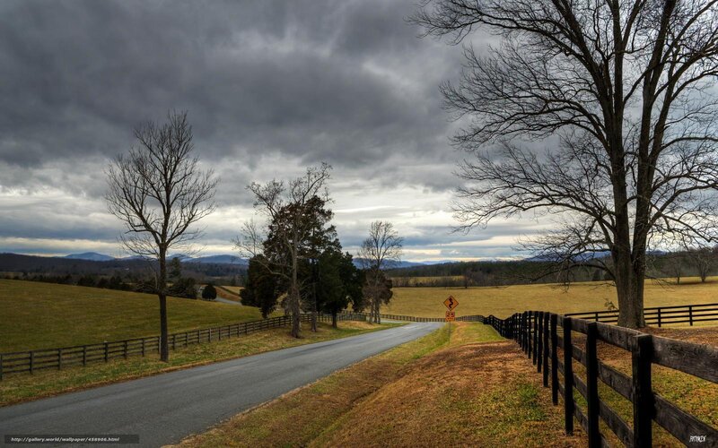 Country Road with Fences — Gray