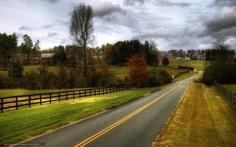 Country Road with Fences — Green
