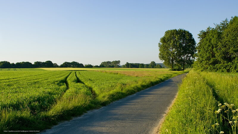Country Road with Fields