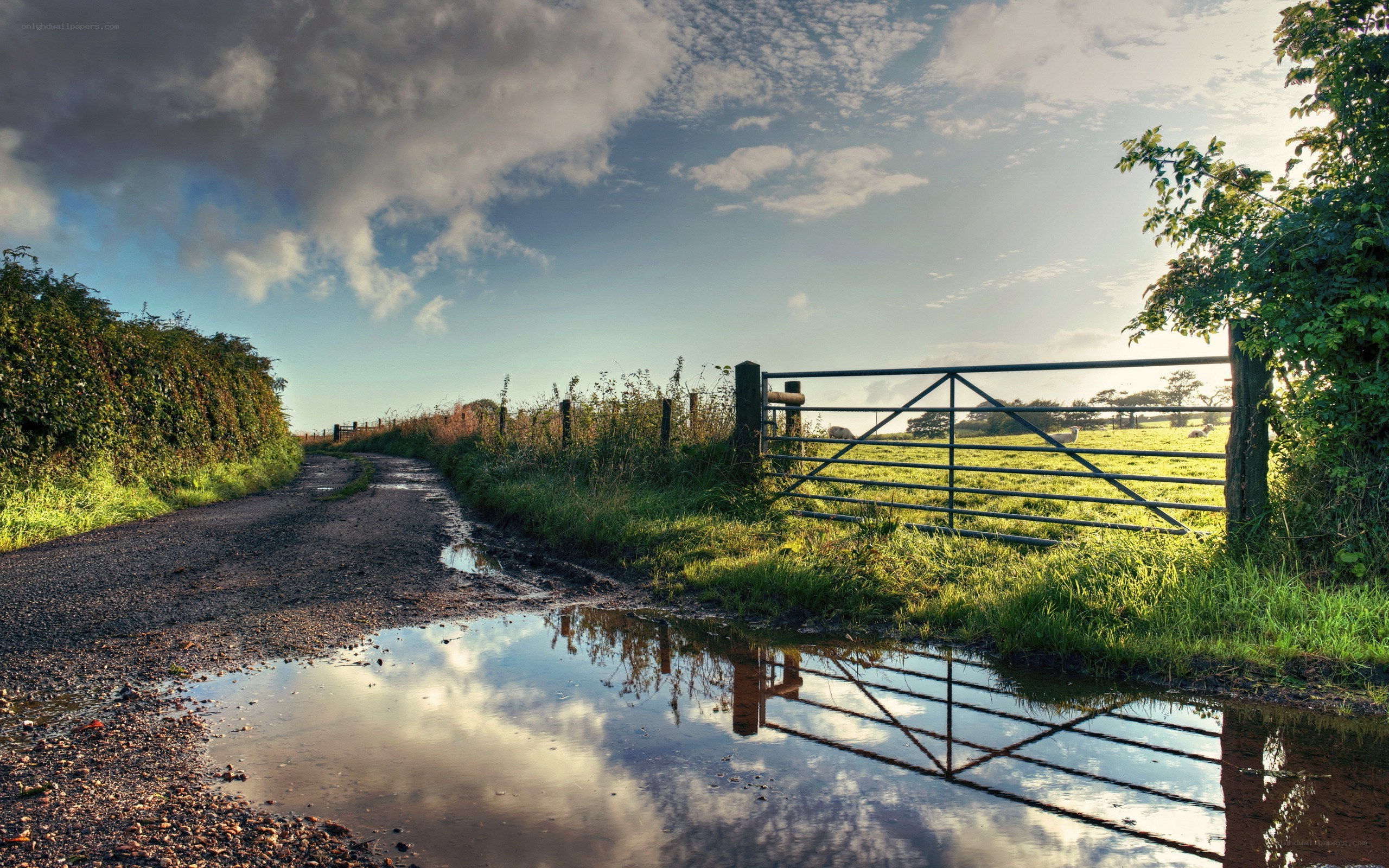 Country road with gate and puddle