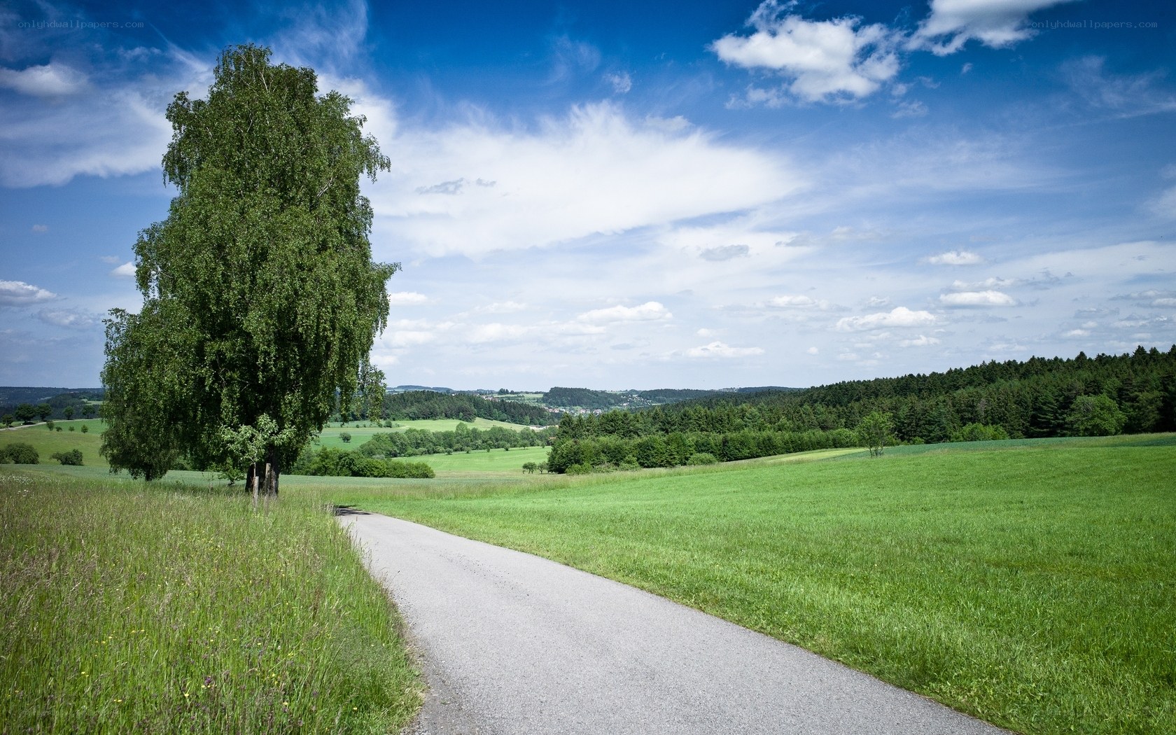 Country road with green fields