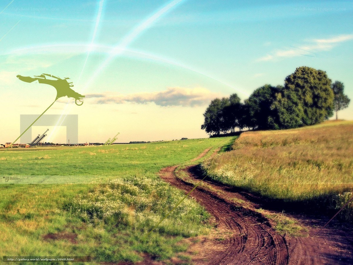 Country road with green fields
