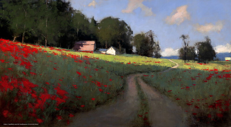 Country road with poppy field