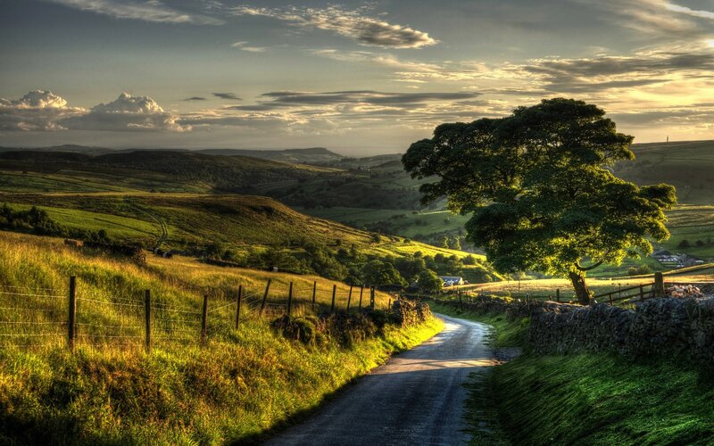 Country Road with Tree