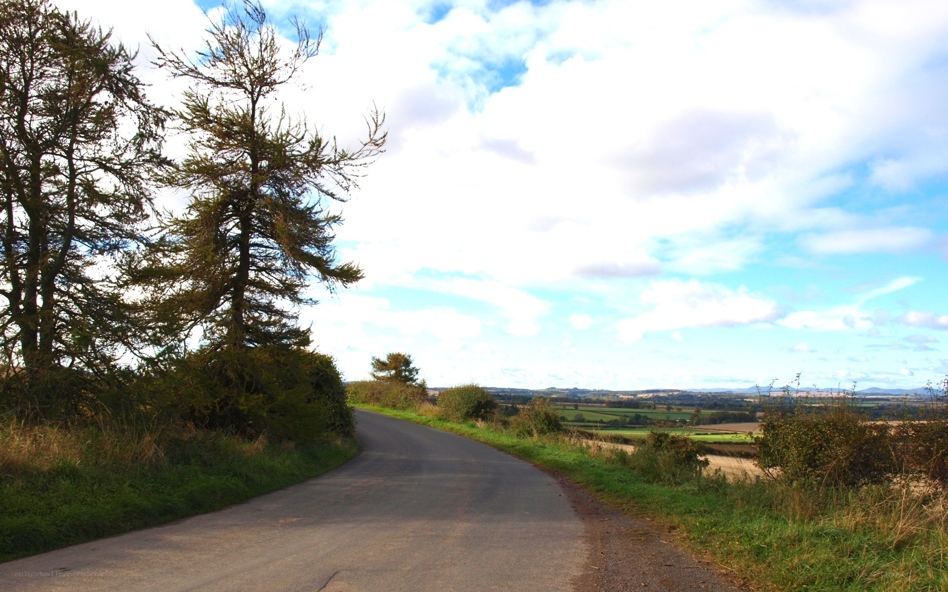 Country road with trees and fields