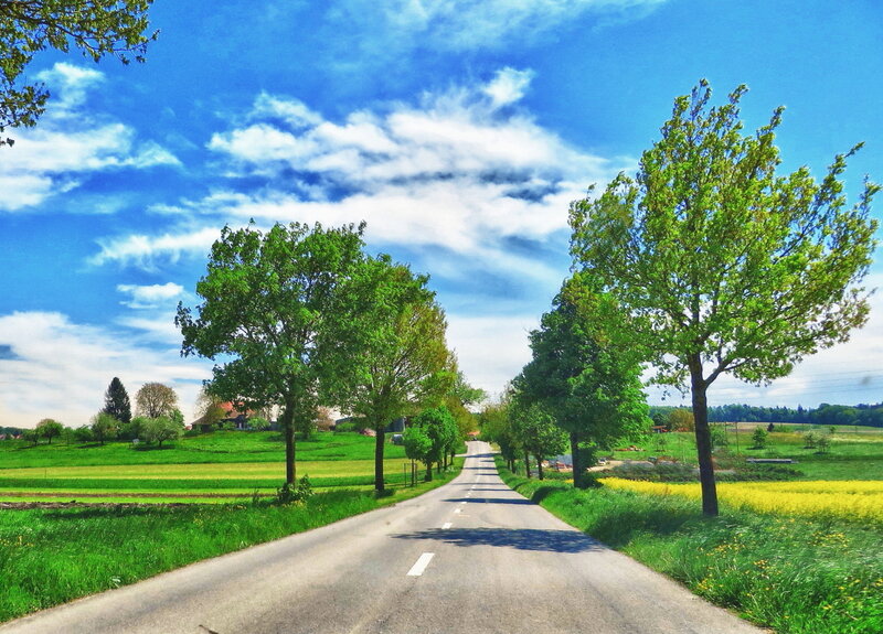 Country Road with Trees — Blue
