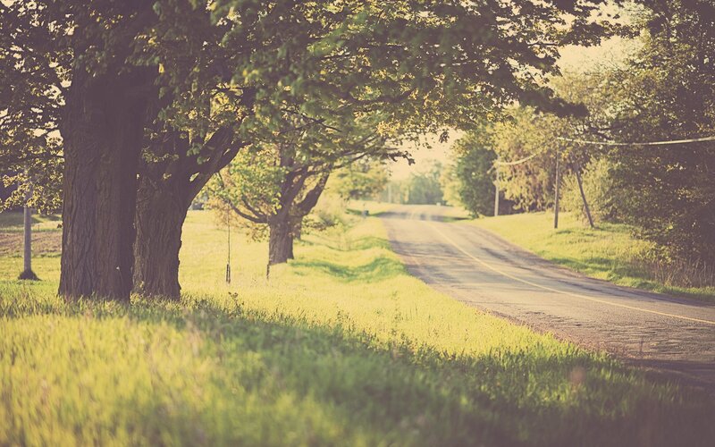 Country Road with Trees — Green, Serene, Afternoon