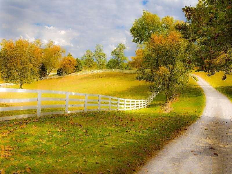 Country Road with White Fence
