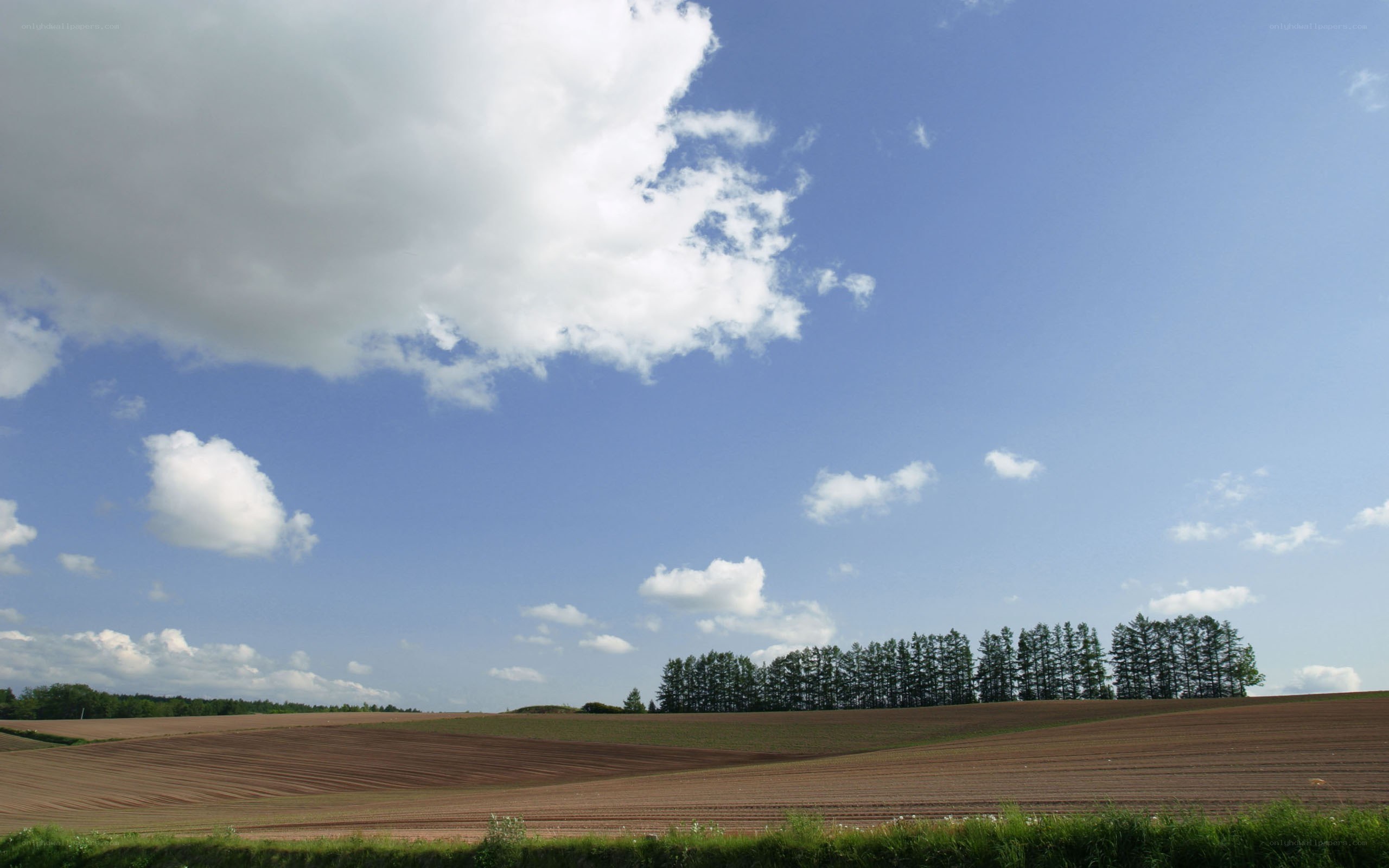 Countryside field under blue sky