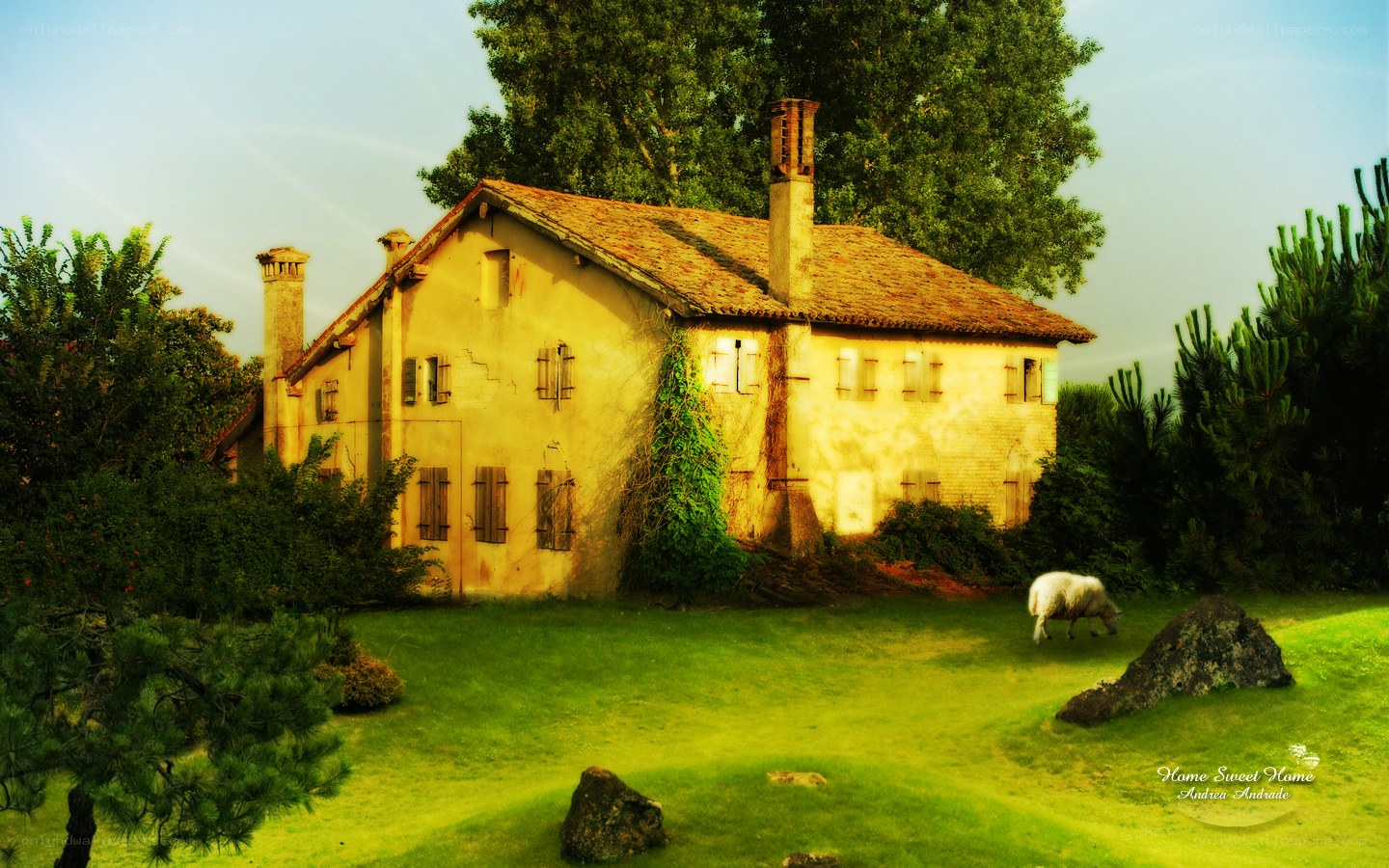 Countryside home with grazing sheep
