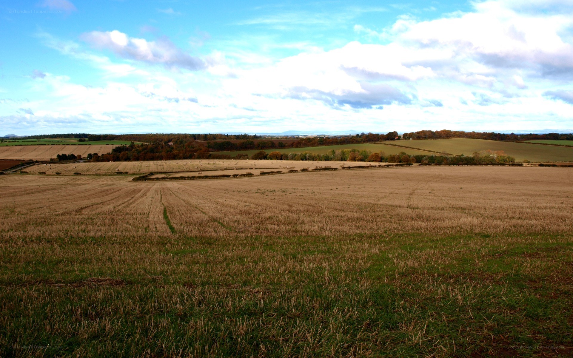Countryside landscape with fields