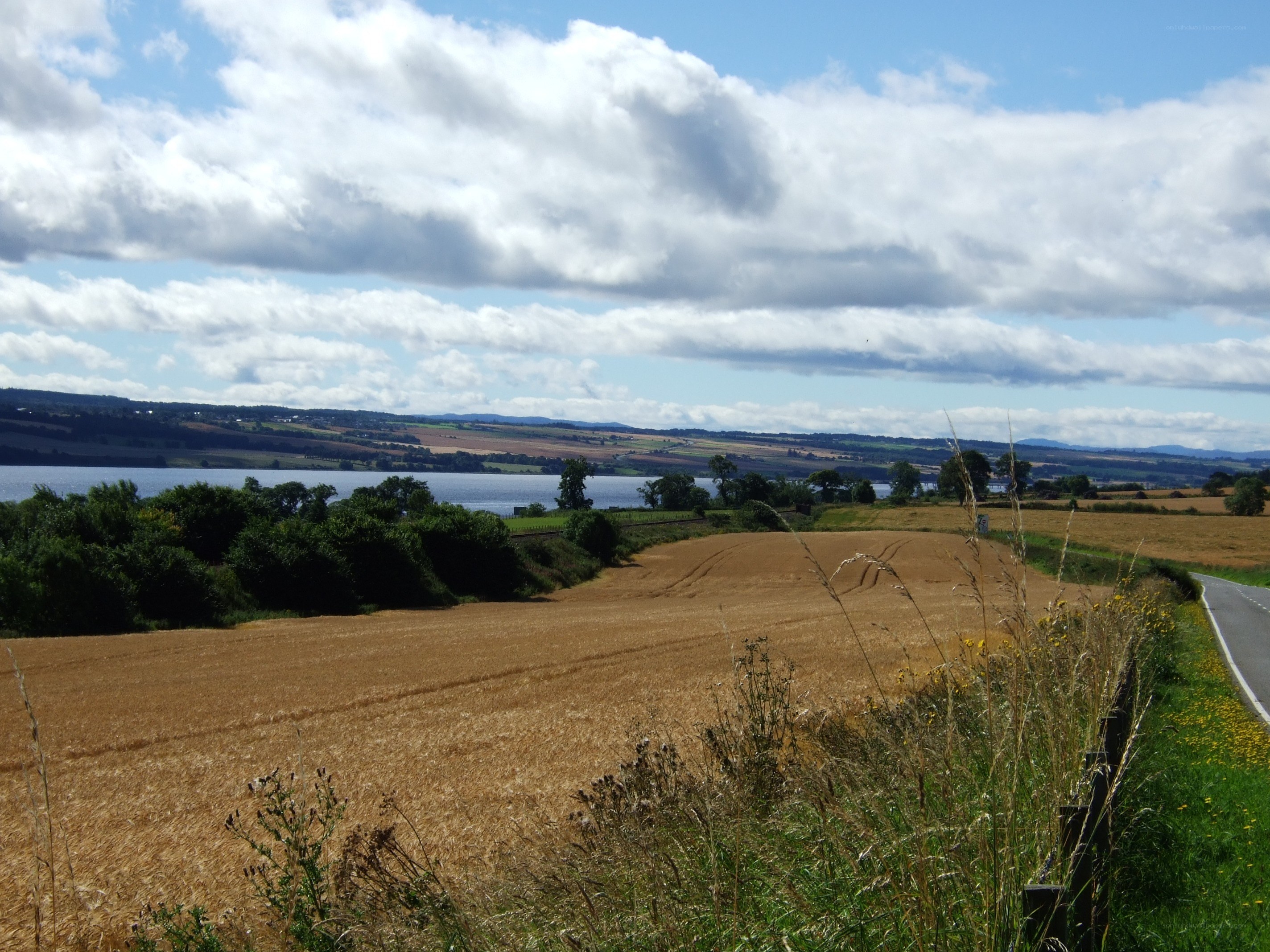 Countryside view with lake and fields