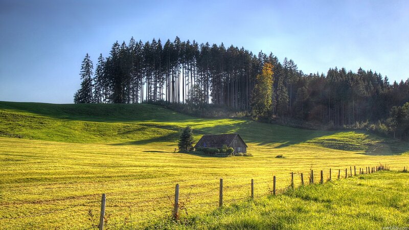 Countryside with barn and forest