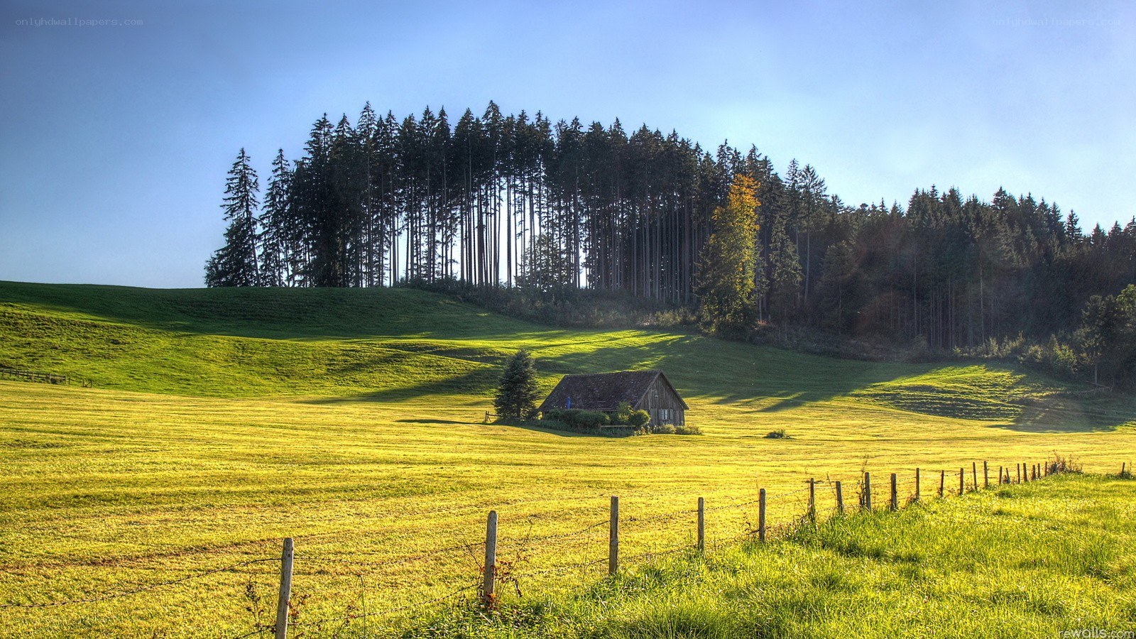 Countryside with barn and forest
