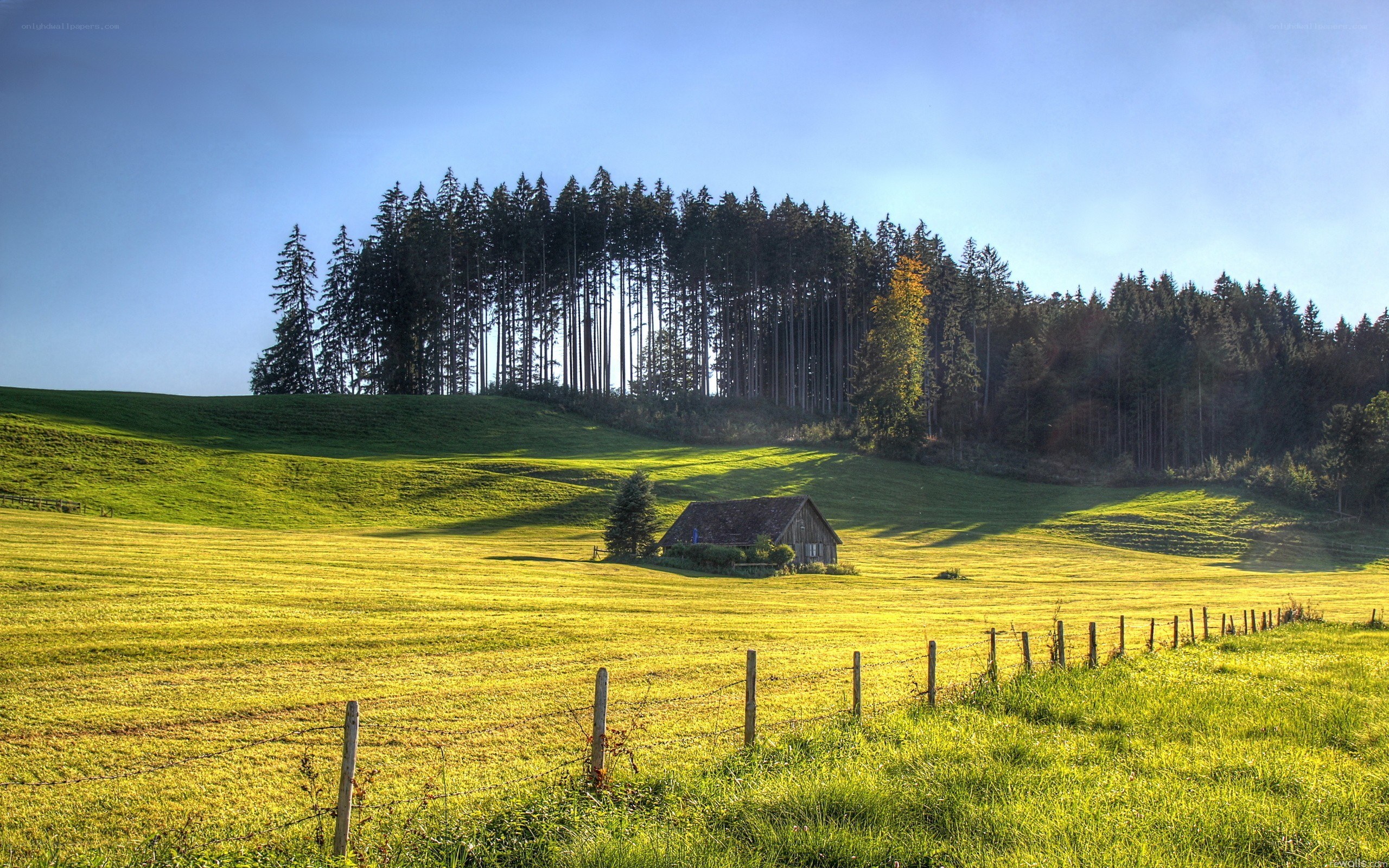 Countryside with forest and hut