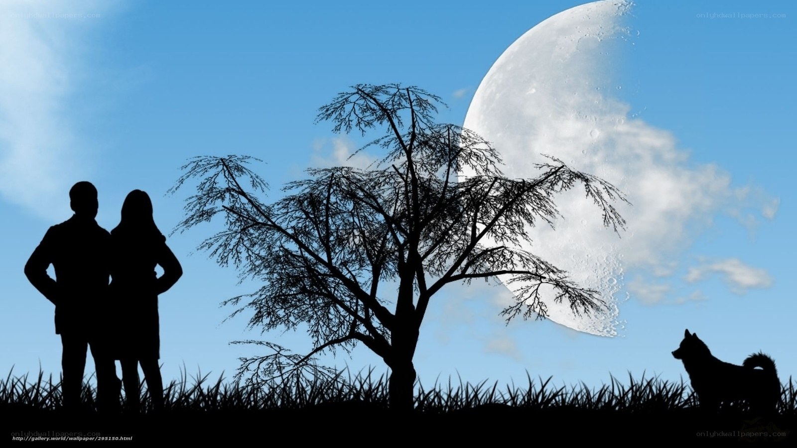 Couple and dog under moonlight