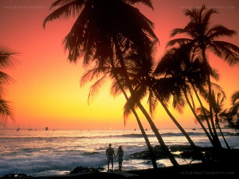 Couple at sunset on tropical beach