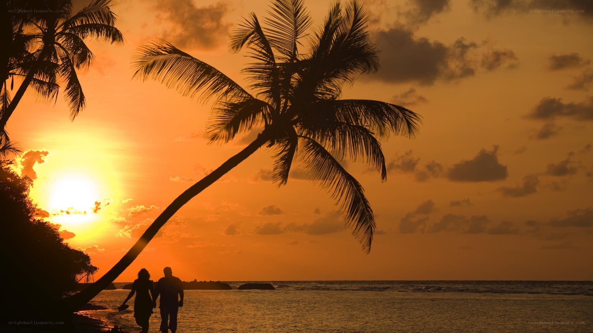 Couple at sunset on tropical beach