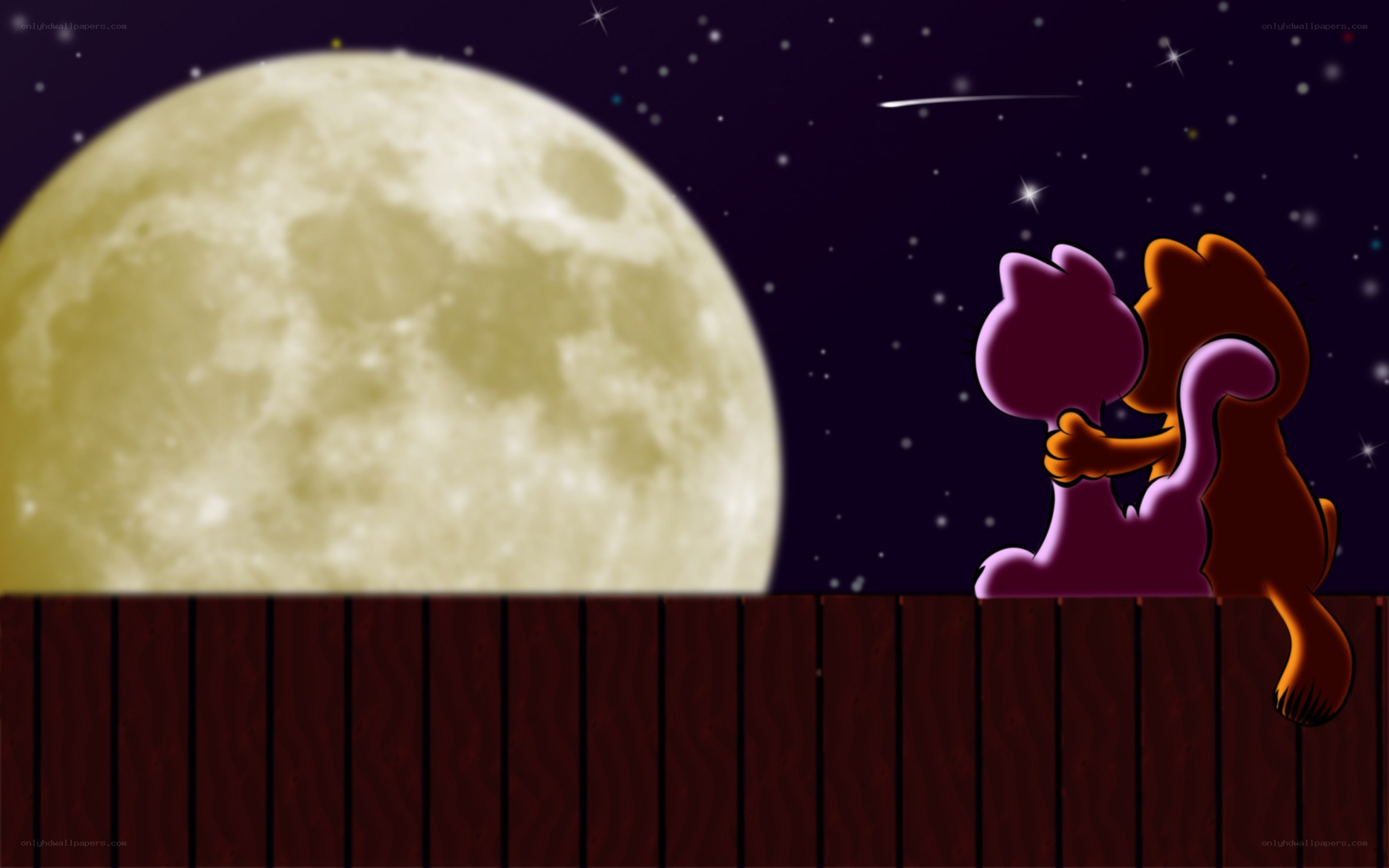 couple cats under moon