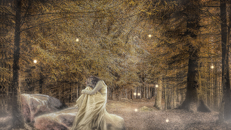 Couple Embracing in Forest — Brown, Mysterious