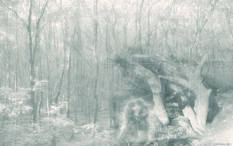Couple Embracing in Forest — Gray