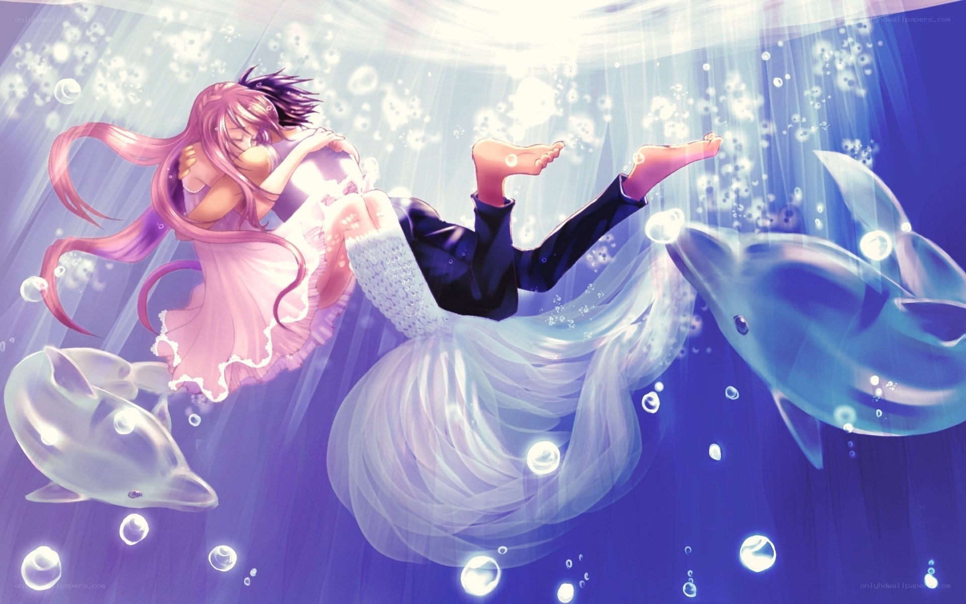 couple embracing underwater with dolphins