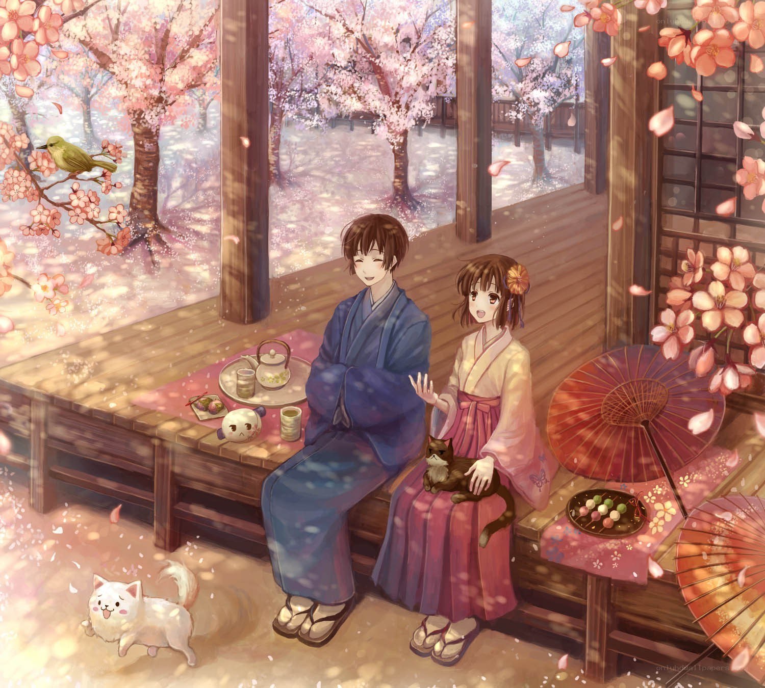 Couple enjoying tea under cherry blossoms
